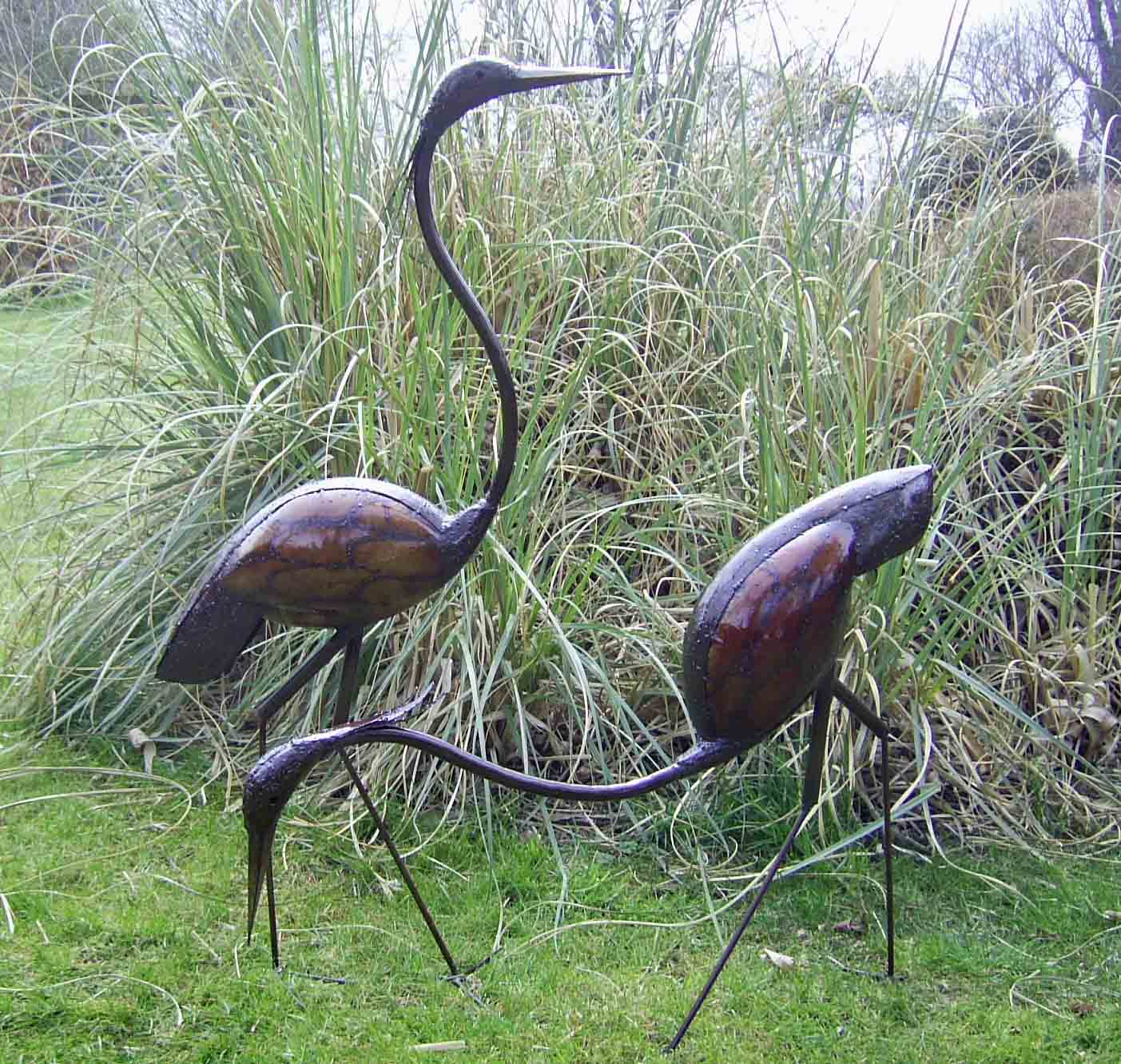 Birds