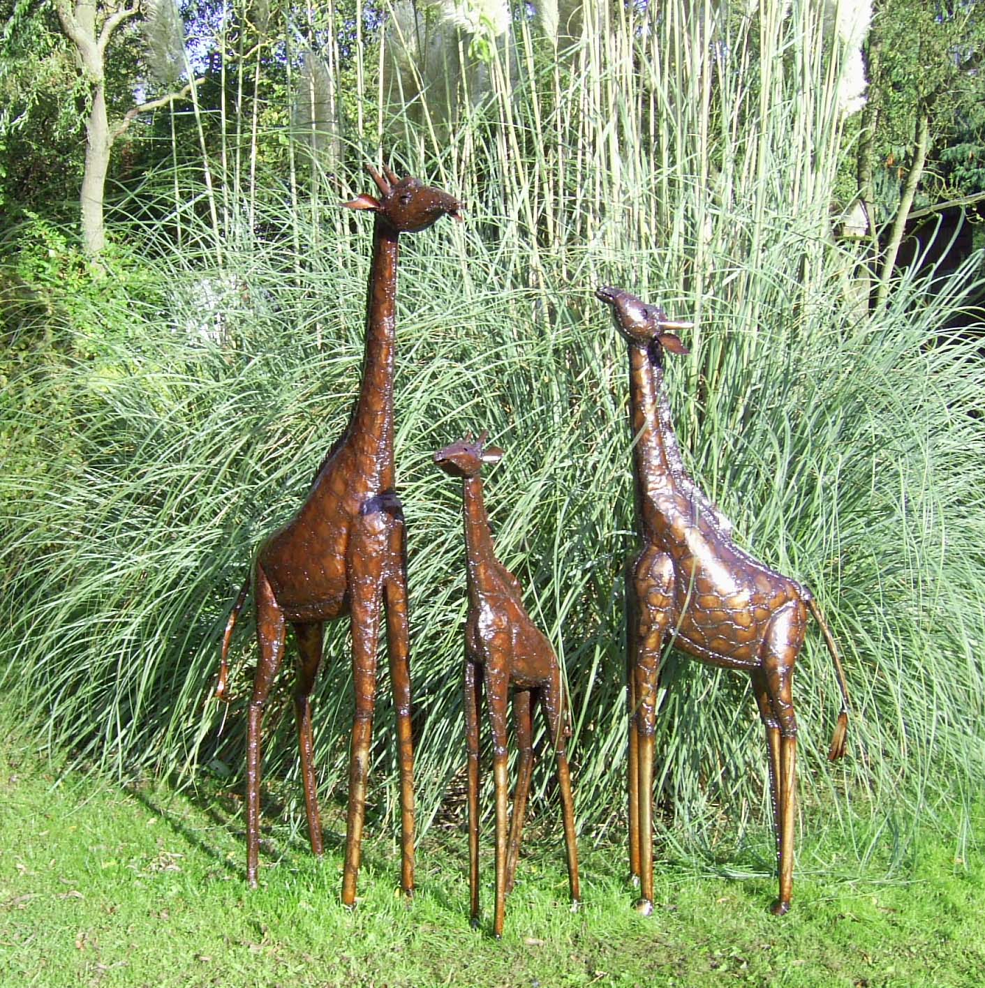 Savanna