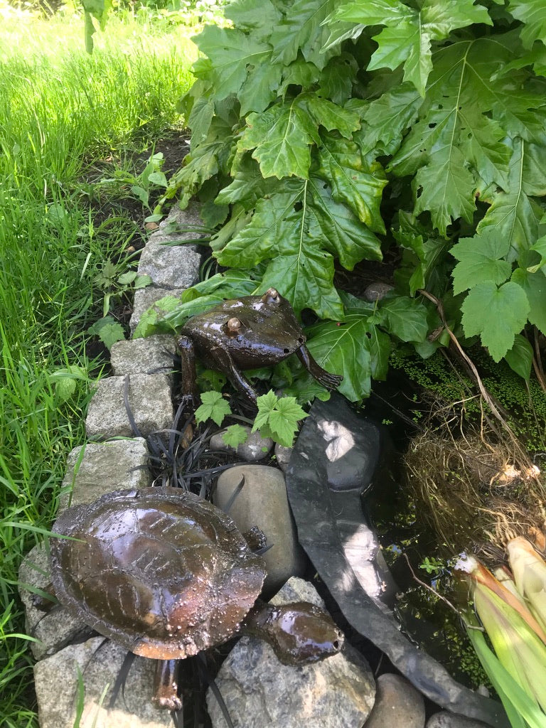 Frog