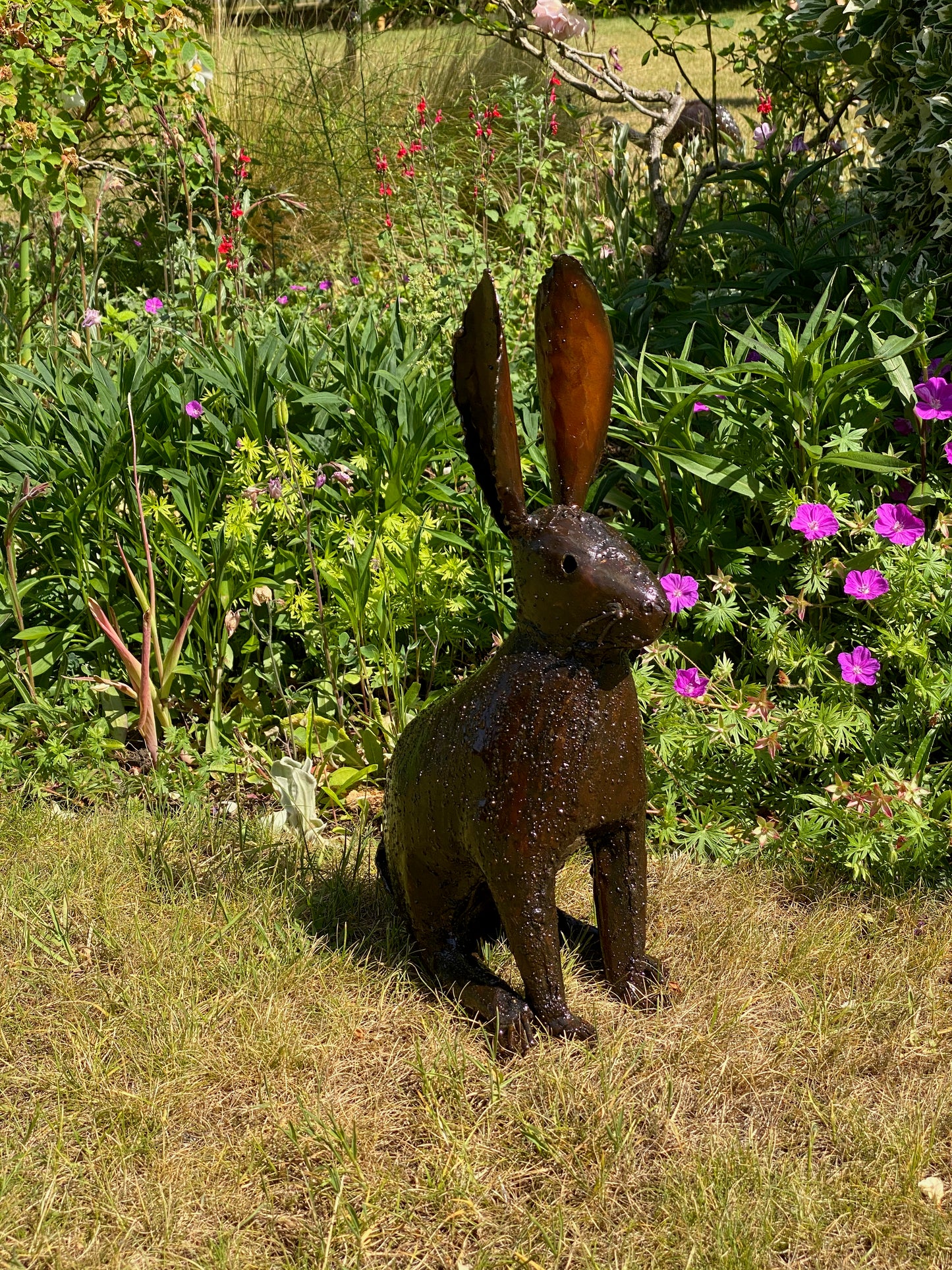 Hares and Rabbits