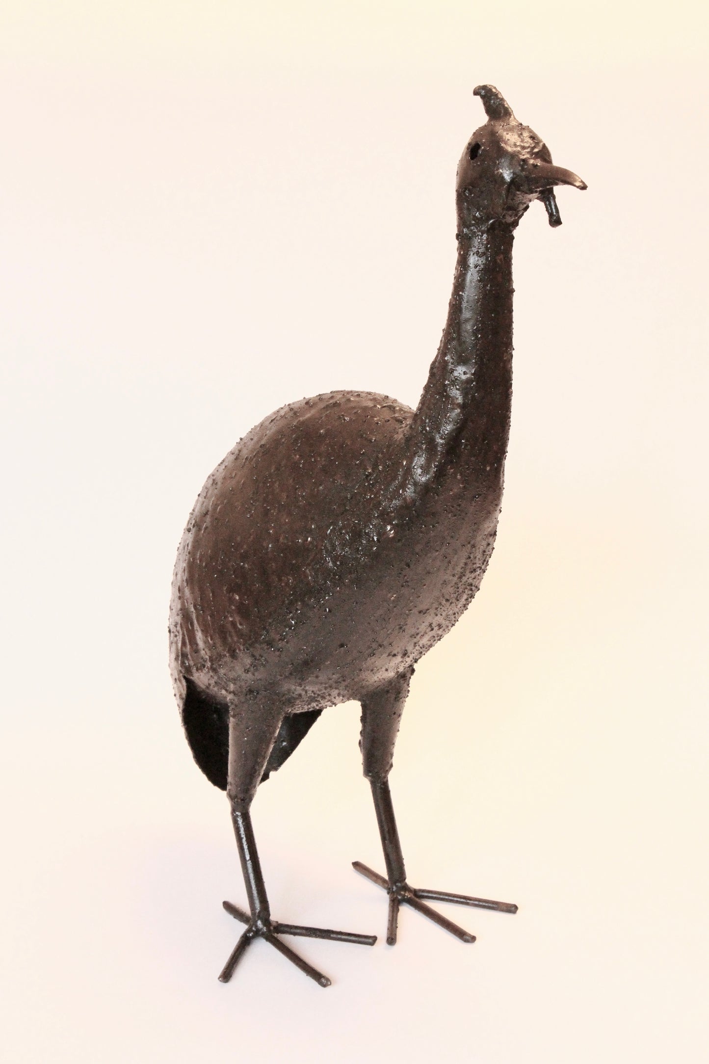 Guinea Fowl Flock
