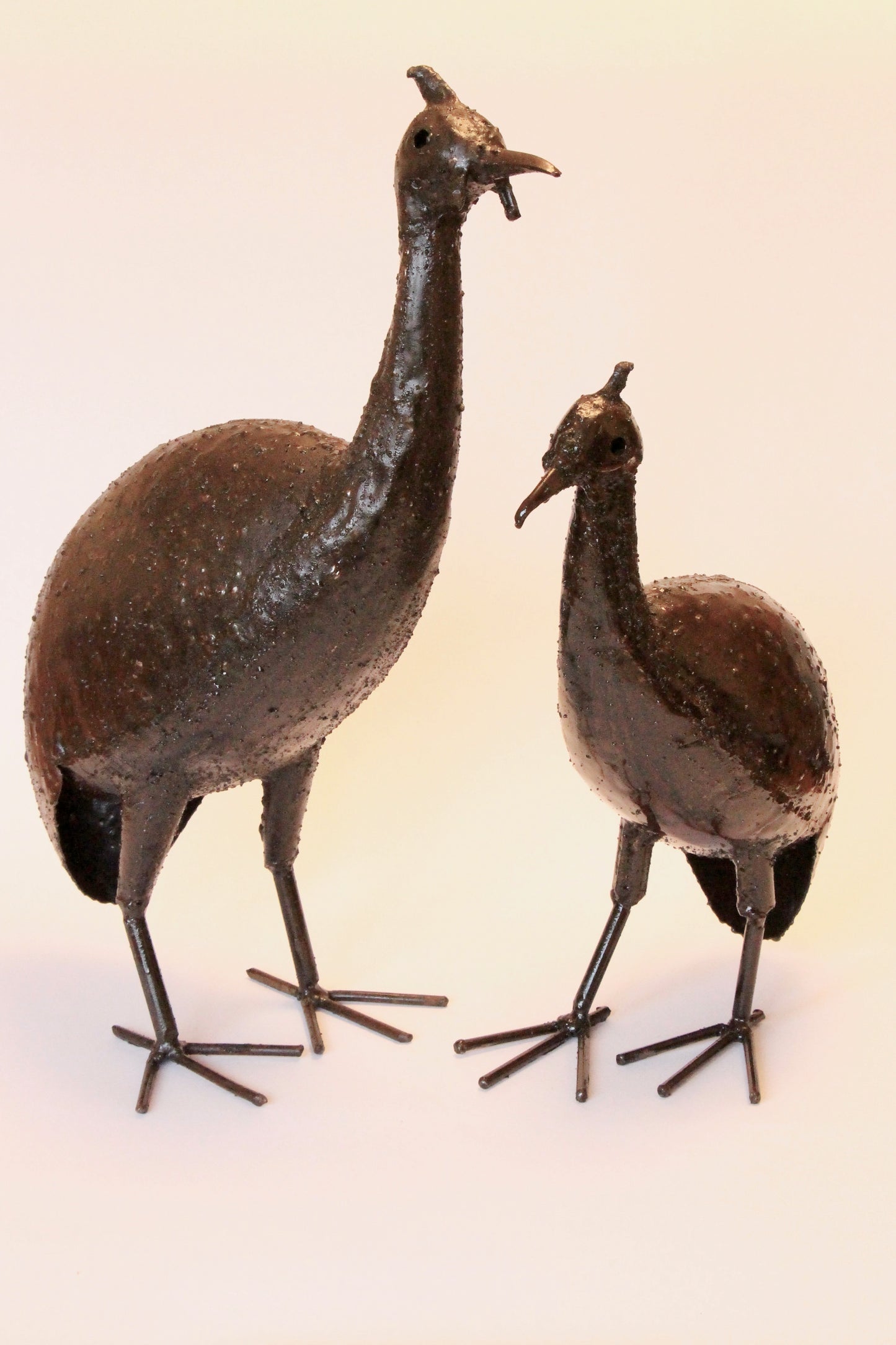 Guinea Fowl Flock