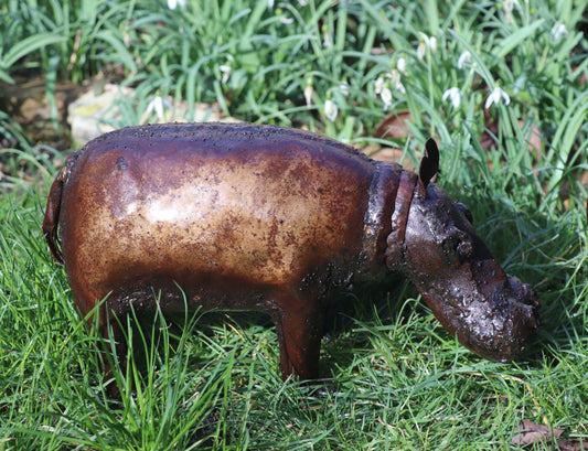 Hippos
