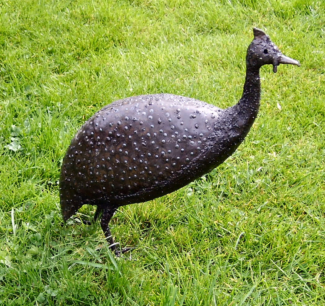 Guinea Fowl Flock