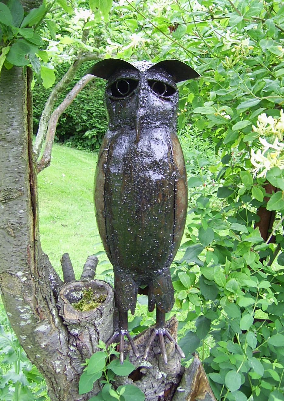 Owl