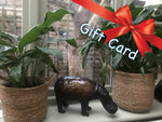 Faraway Finds gift card