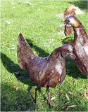 Hens and Cockerels