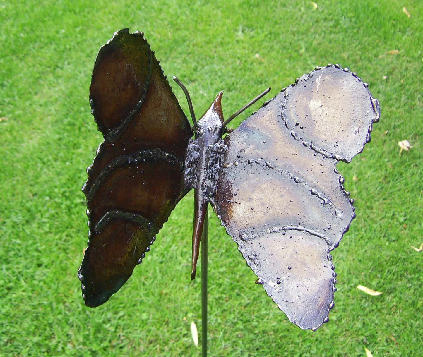 Faraway Finds gift card