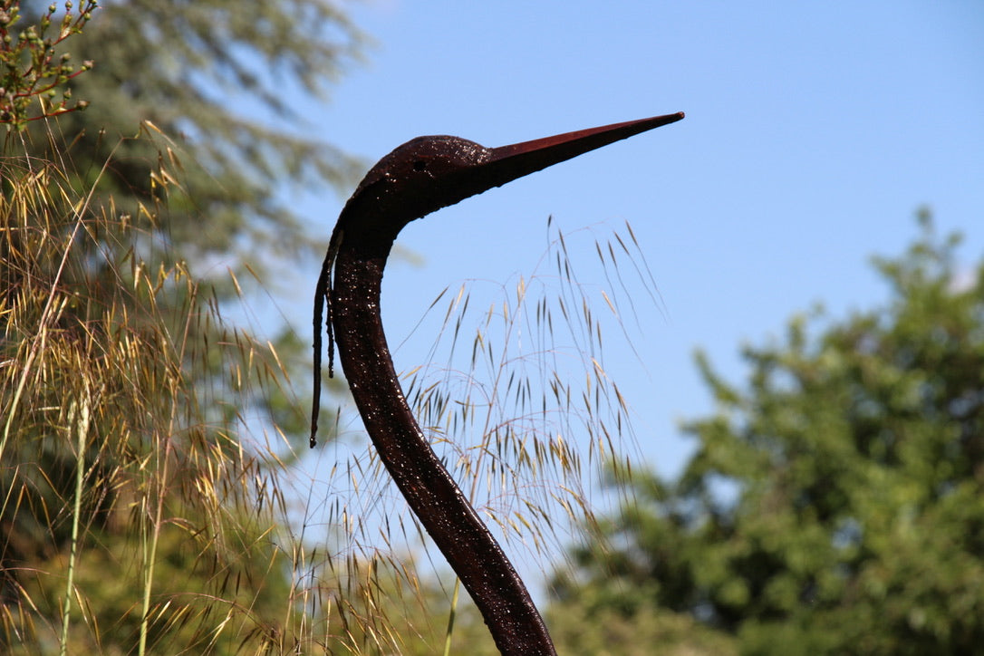 Goliath Herons