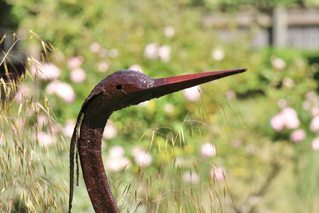 Goliath Herons