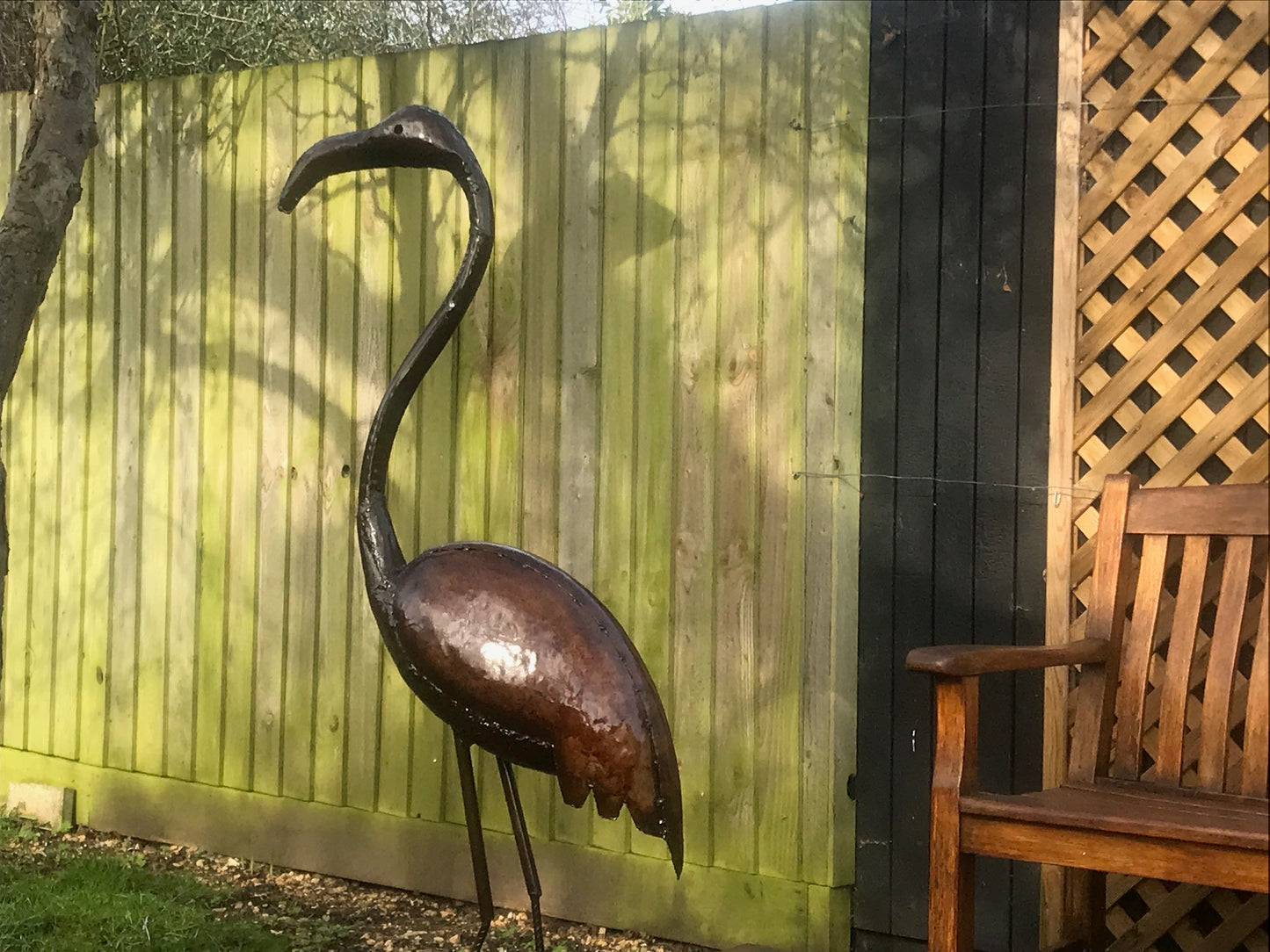 Flamingo