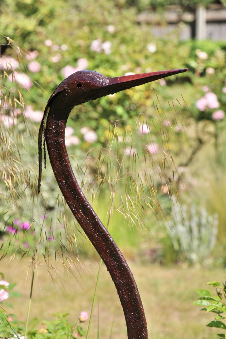 Goliath Herons