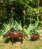 Warthogs pair