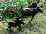 Warthogs pair