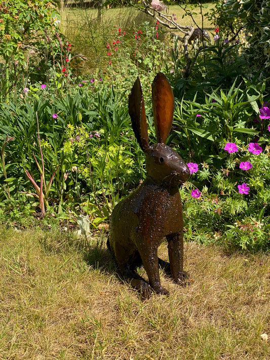 Hares and Rabbits