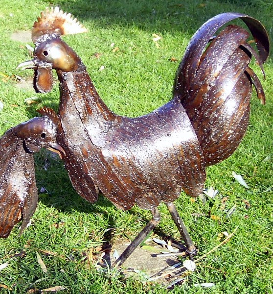 Hens and Cockerels