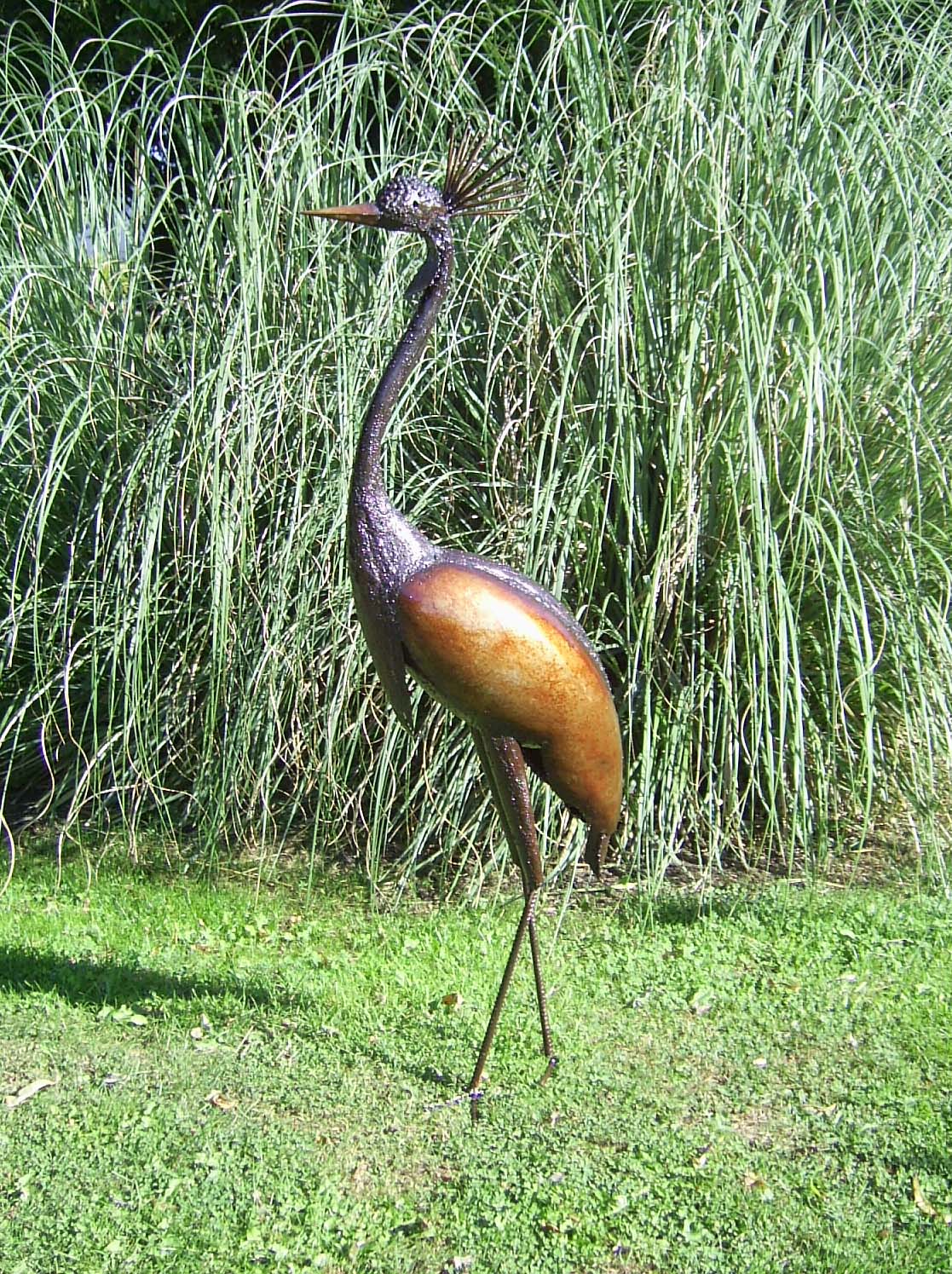 Crowned Crane