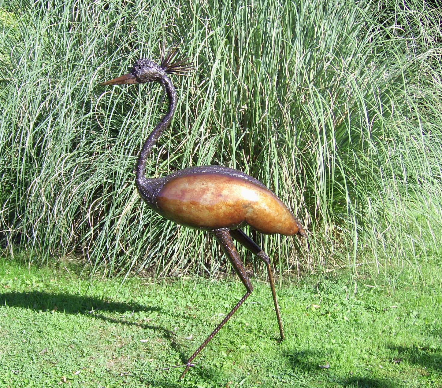 Crowned Crane