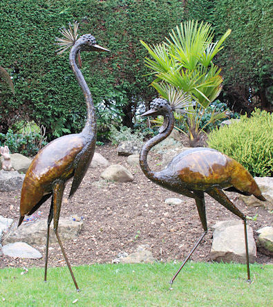 Crowned Crane Pair