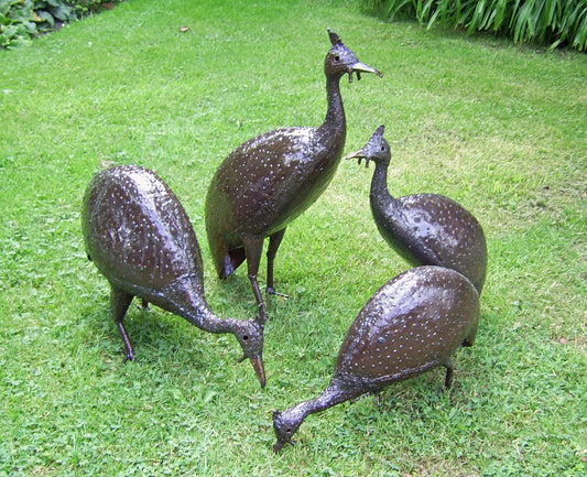 Guinea Fowl Flock