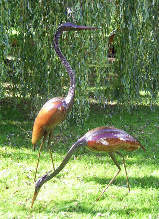 Goliath Heron Pair