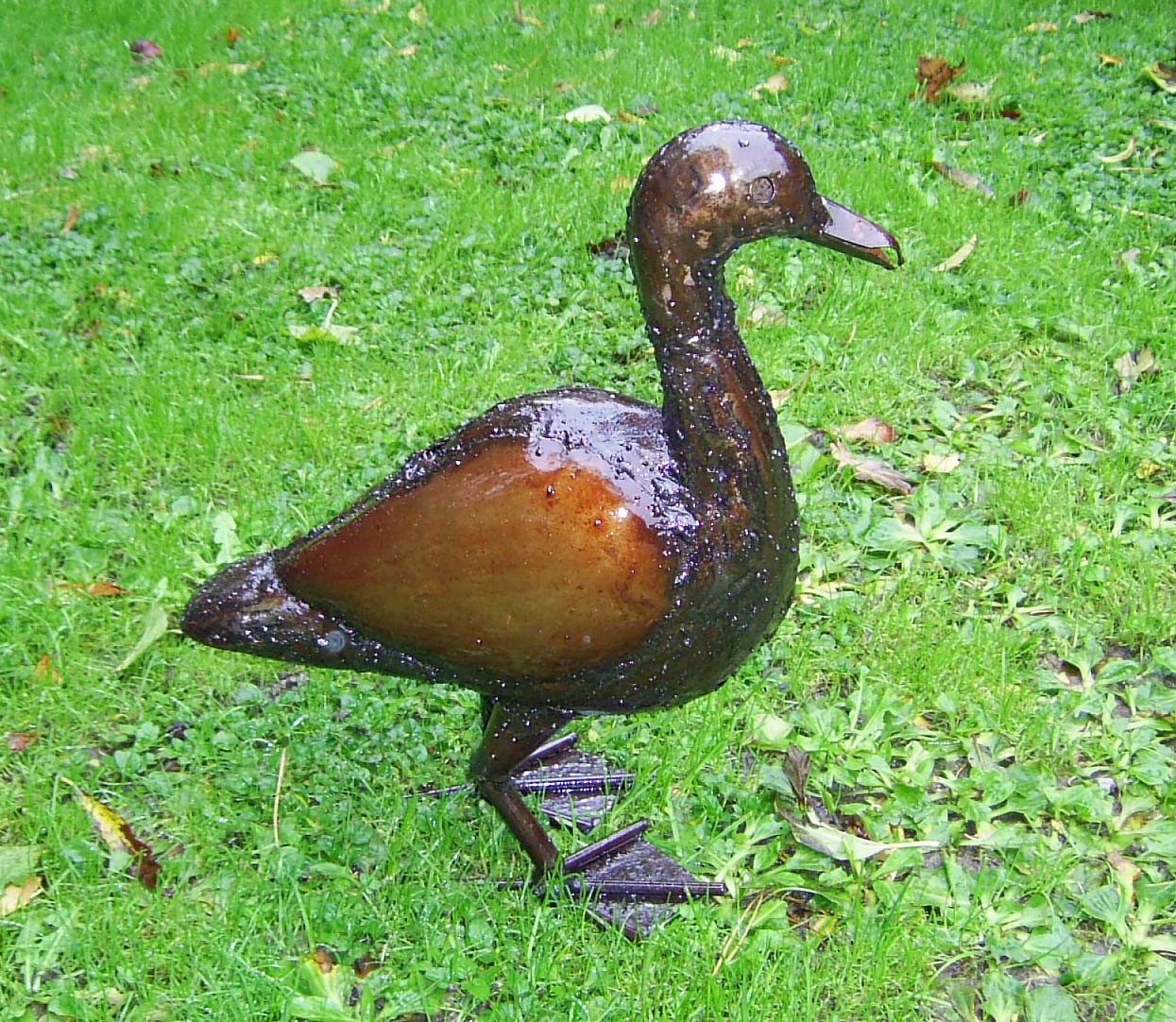 Duck